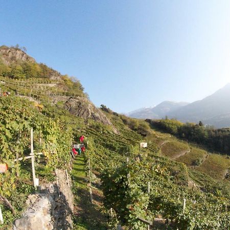 winebnb Sondrio Exteriér fotografie
