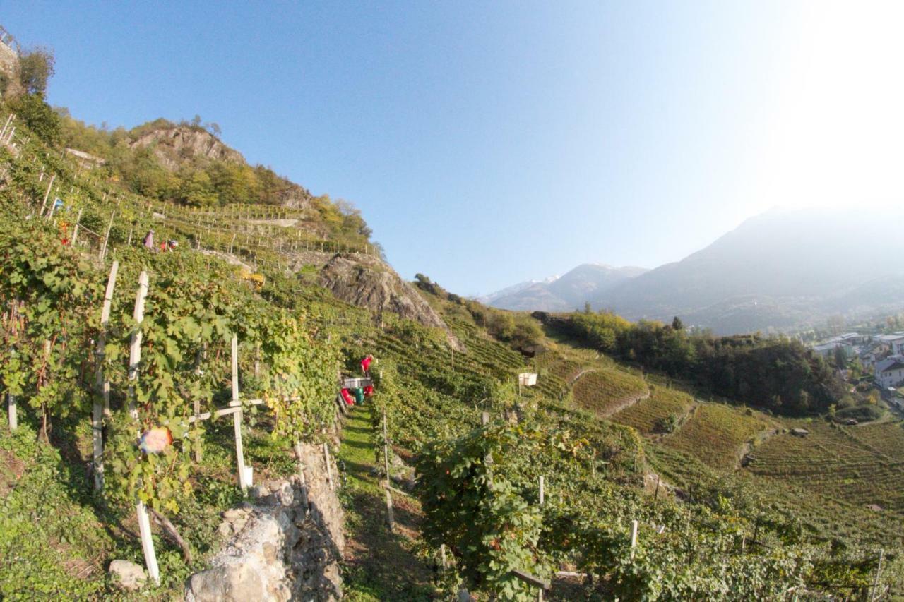 winebnb Sondrio Exteriér fotografie